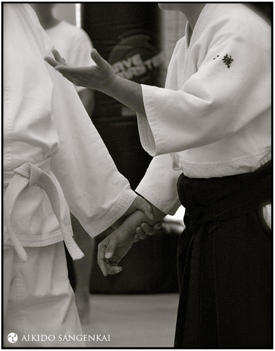 Dayna Kaneshiro at the Aikido Sangenkai