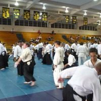 Aikido Celebration 2011 in Hawaii