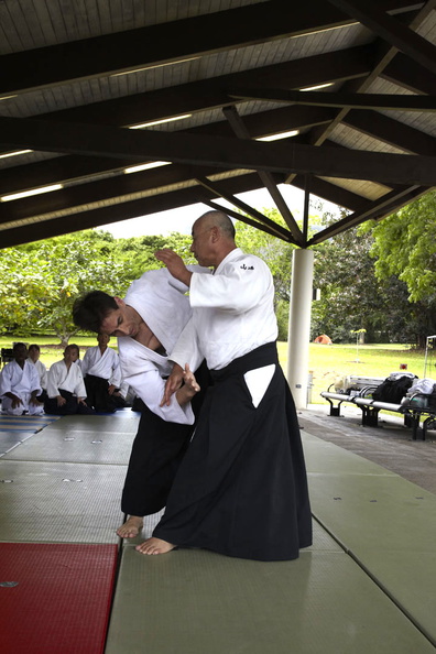 Chris Li Translating and Falling for Takeshi Yamashima Sensei