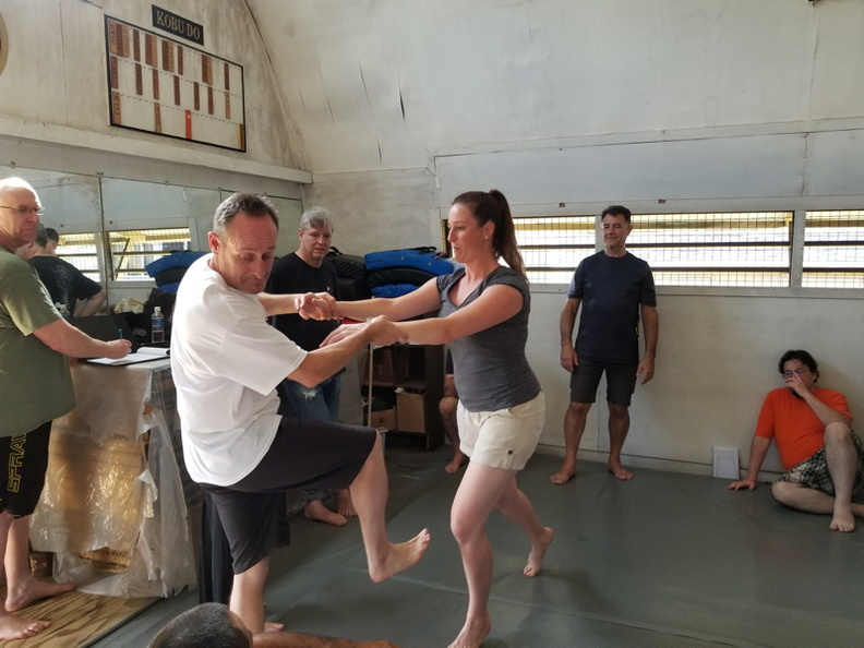 February 2018 Sangenkai Workshop in Hawaii