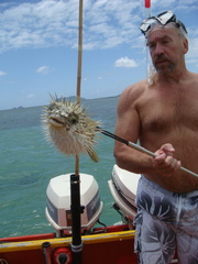 Dan and the Pufferfish on the Spear