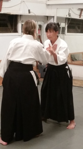 Aikido Sangenkai Kagami Biraki 2015 at Windward Aikido Club