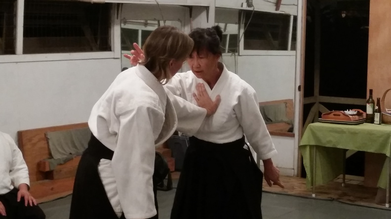 Aikido Sangenkai Kagami Biraki 2015 at Windward Aikido Club