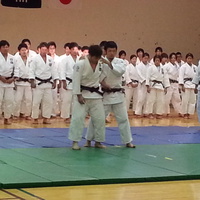 nittai-judo-hawaii.jpg