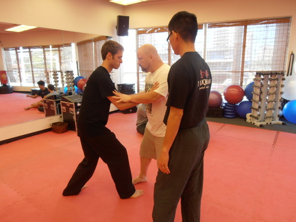 I Liq Chuan Training at the Aikido Sangenkai