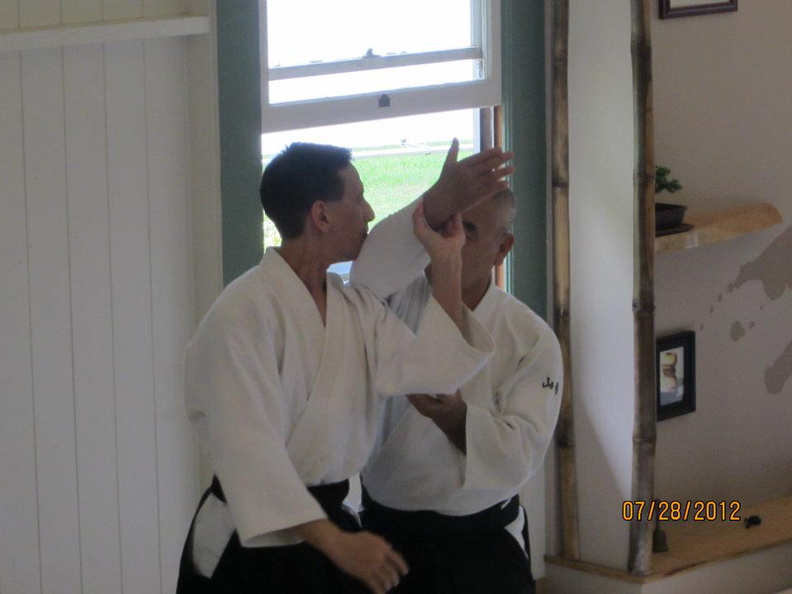 kohala-aikido-yamashima-chris-li.jpg