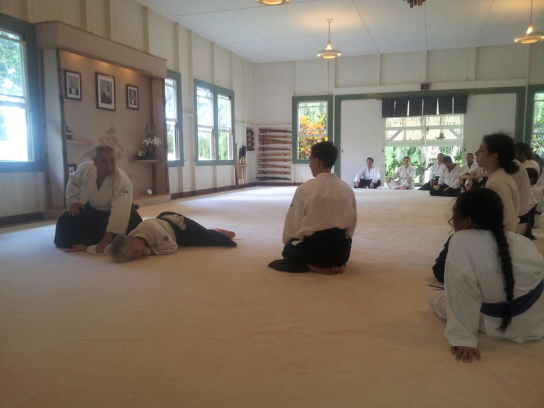 kohala-aikikai-translating-varjan.jpg