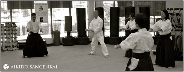 Aikido keiko at the Aikido Sangenkai